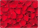 Rose Petals - Red