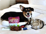 The Pet Travel Package
