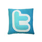 Twitter (pillow icon via Craftsquatch.etsy.com)