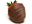 chocolate strawberries