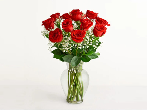 Red Roses - 12 stems
