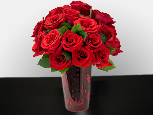 Red Roses - 12 stems