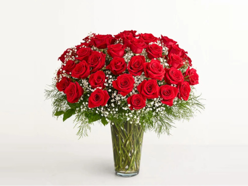 Red Roses - 48 stems