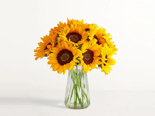 Sunflowers - 10 stems